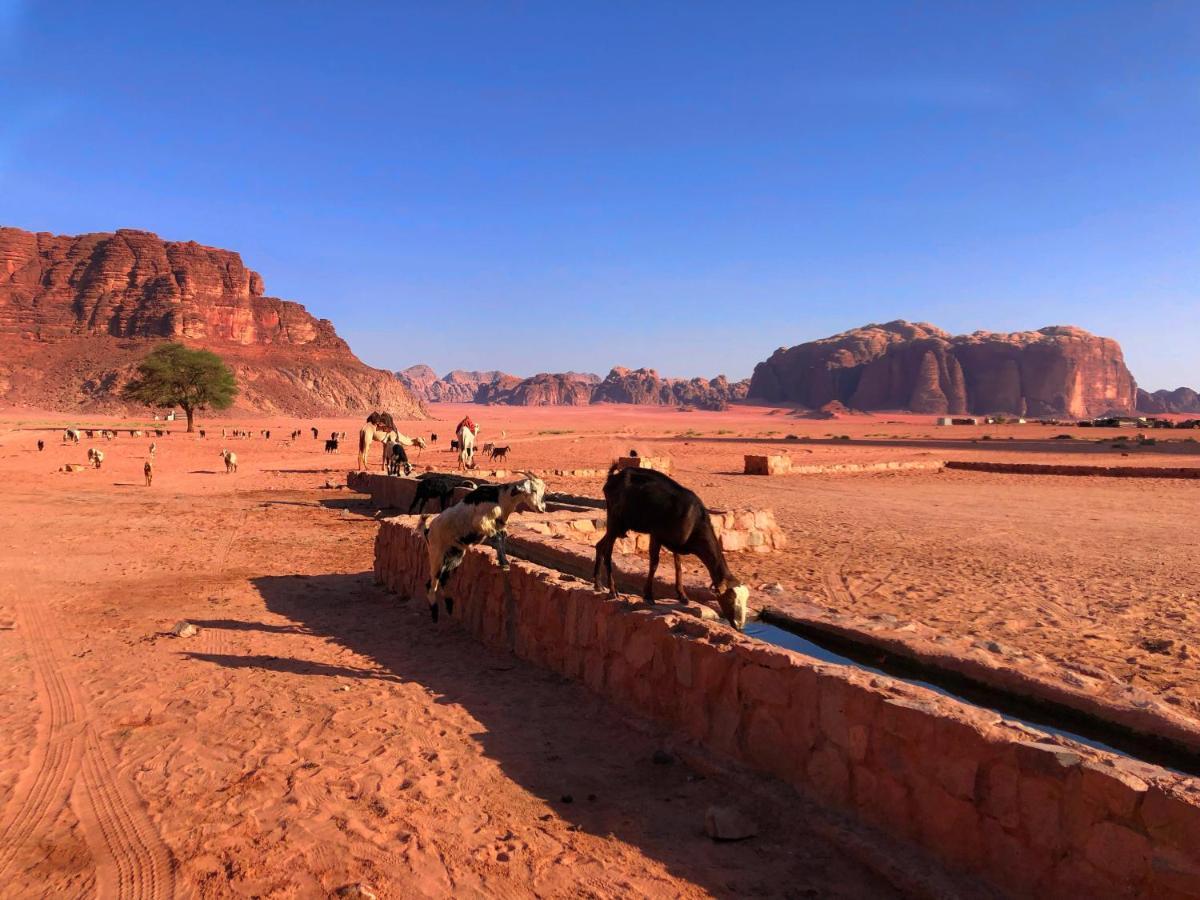 ワディ ・ラム Milky Way Bedouin Campヴィラ エクステリア 写真